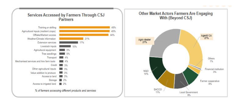 market interactions and services access